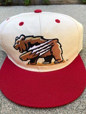 FRESNO GRIZZLIES Minor League Baseball Snapback Hat Men's MiLB Beige Cap NEW